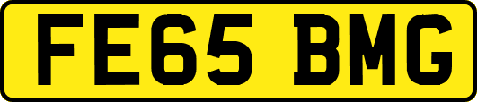 FE65BMG