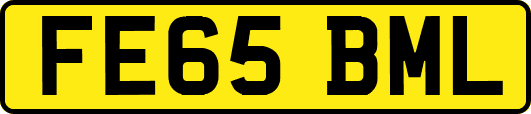 FE65BML