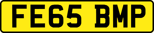 FE65BMP
