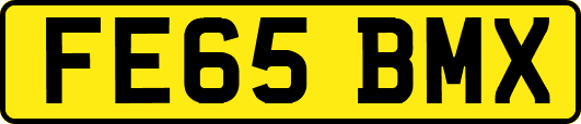 FE65BMX