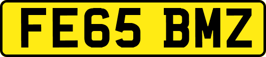 FE65BMZ