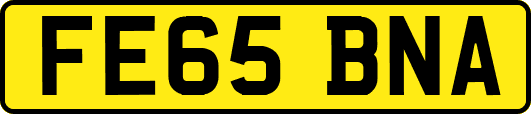 FE65BNA