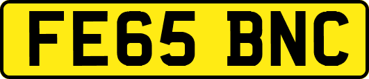 FE65BNC