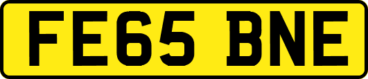 FE65BNE