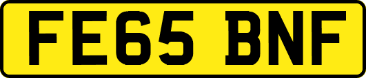 FE65BNF