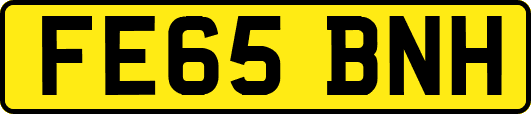 FE65BNH