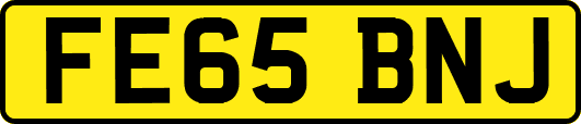 FE65BNJ