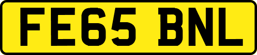 FE65BNL