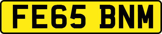 FE65BNM
