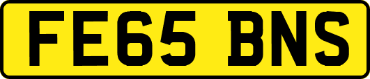 FE65BNS