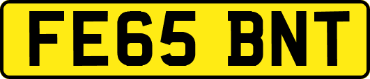 FE65BNT