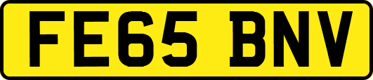 FE65BNV