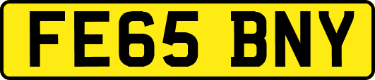 FE65BNY