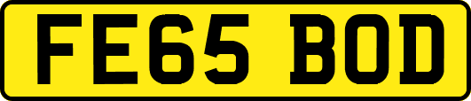 FE65BOD