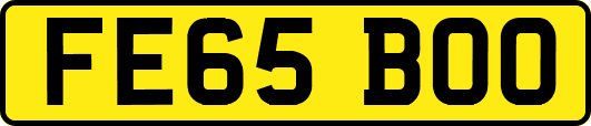 FE65BOO