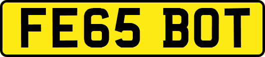 FE65BOT
