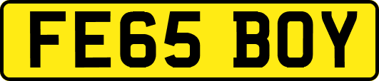 FE65BOY
