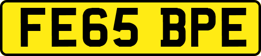 FE65BPE