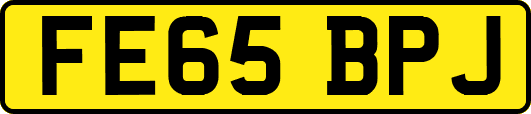 FE65BPJ