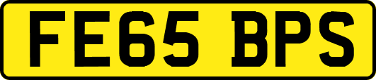 FE65BPS