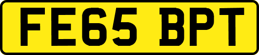 FE65BPT