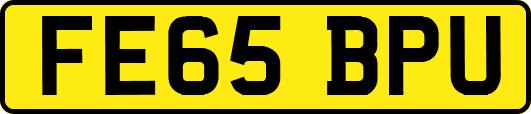 FE65BPU