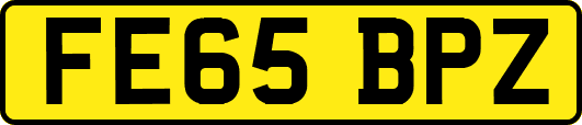 FE65BPZ