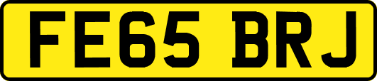 FE65BRJ