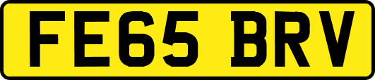 FE65BRV