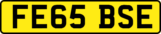 FE65BSE