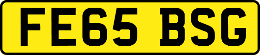 FE65BSG