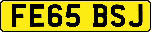 FE65BSJ