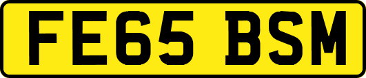 FE65BSM