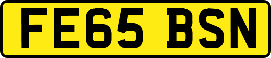 FE65BSN