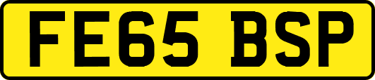 FE65BSP