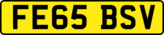 FE65BSV