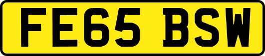 FE65BSW