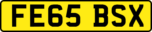 FE65BSX