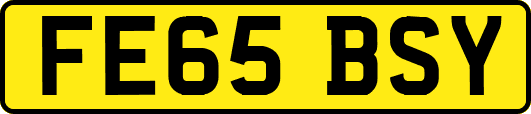 FE65BSY