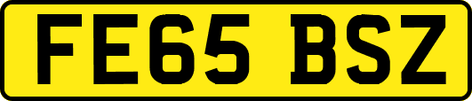 FE65BSZ