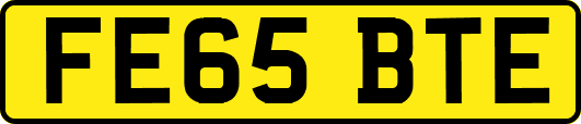 FE65BTE