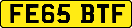 FE65BTF