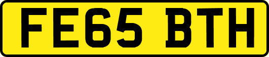 FE65BTH