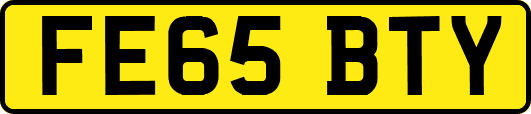 FE65BTY