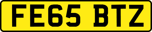 FE65BTZ