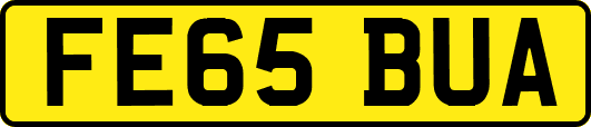 FE65BUA