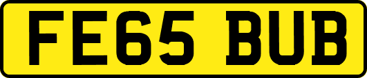 FE65BUB
