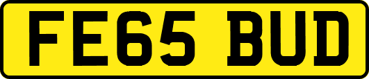 FE65BUD