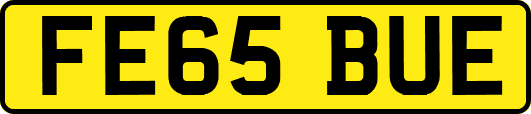 FE65BUE