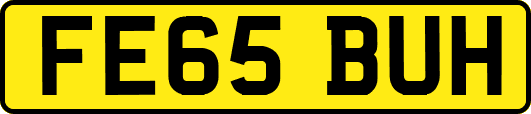 FE65BUH
